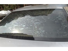 专家证明汽车玻璃膜起泡恐致癌，请立刻撕掉！